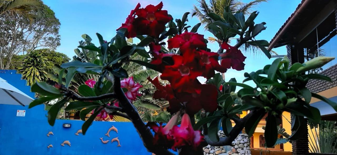 Pousada A Flor Da Terra Porto Seguro Buitenkant foto