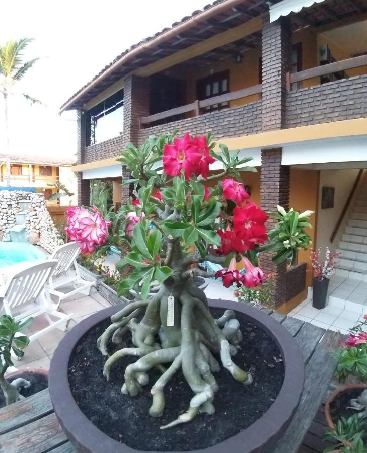 Pousada A Flor Da Terra Porto Seguro Buitenkant foto
