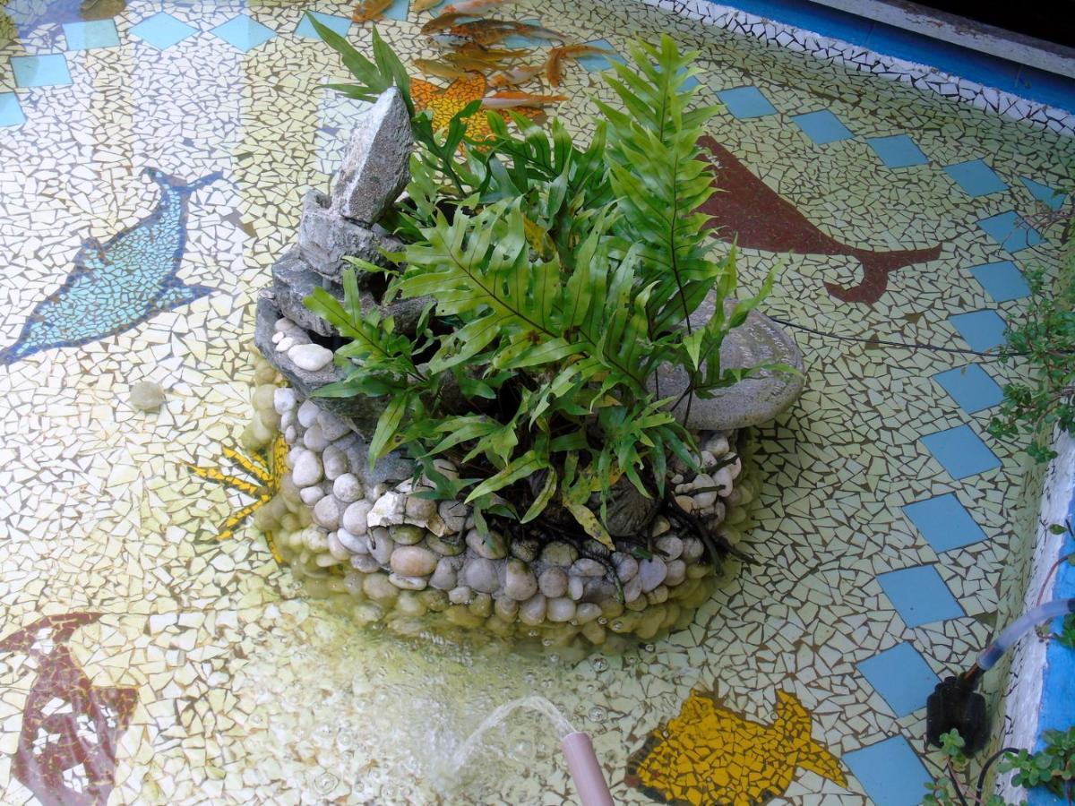 Pousada A Flor Da Terra Porto Seguro Buitenkant foto